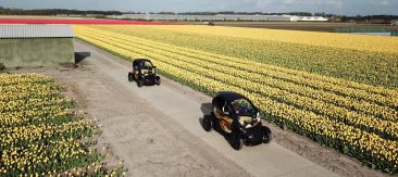 Met een Renault Twizy toeren door de Tulpenvelden
